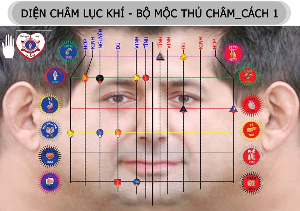 Giải mã ảnh đại diện thầy An